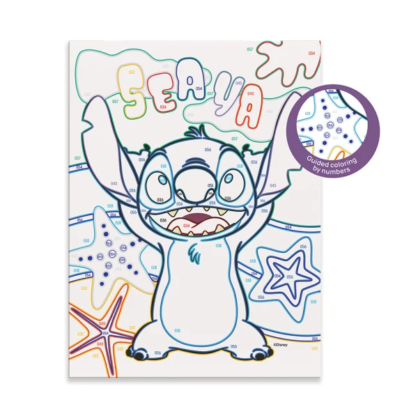HAPPIHOBBI PAINT & FRAME PAINT BY NUMBERS STITCH
