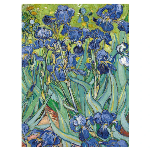LE MUSEE COLLECTION ΤΕΤΡΑΔΙΟ ΚΑΡΦΙΤΣΑ Α5 ΡΙΓΕ VAN GOGH IRIS