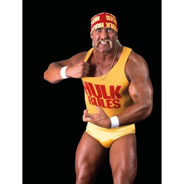 PLAYMOBIL WWE® HULK HOGAN