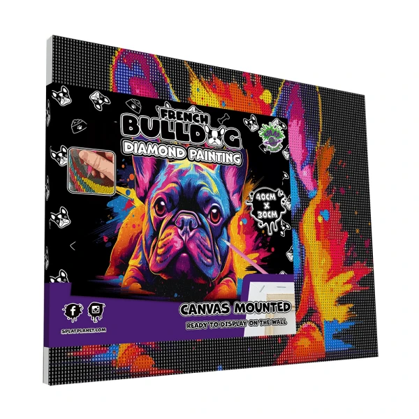 SPLAT PLANET DIAMOND PAINTING KIT ON FRAMED CANVAS 30X40 cm NEON BULLDOG