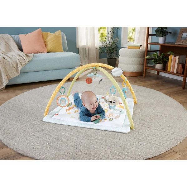 FISHER-PRICE SIMPLY SENSES NEWBORN GYM