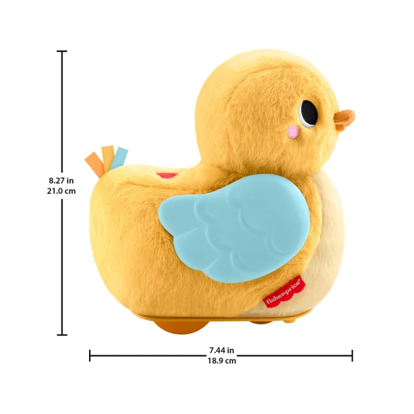 FISHER PRICE ΜΑΛΑΚΟ ΠΑΠΑΚΙ ΜΕ ΚΙΝΗΣΗ ΚΑΙ ΗΧΟΥΣ