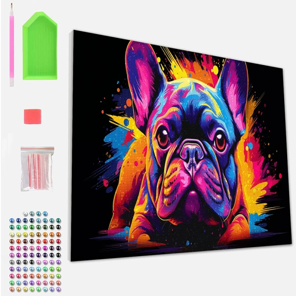 SPLAT PLANET DIAMOND PAINTING KIT ON FRAMED CANVAS 30X40 cm NEON BULLDOG