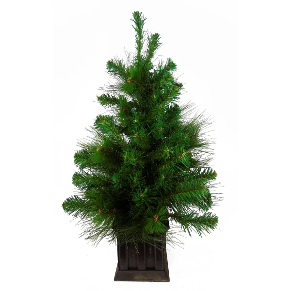 SMALL CHRISTMAS TREE 60 cm IN POT