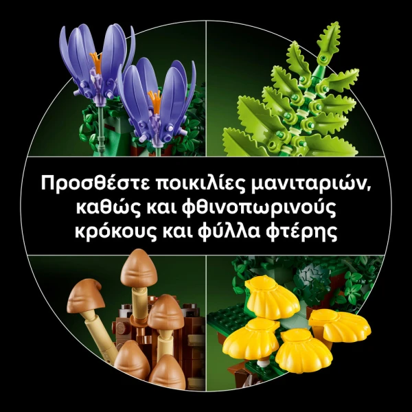 LEGO® BOTANICALS ΜΑΝΙΤΑΡΙΑ ΤΟΥ ΔΑΣΟΥΣ
