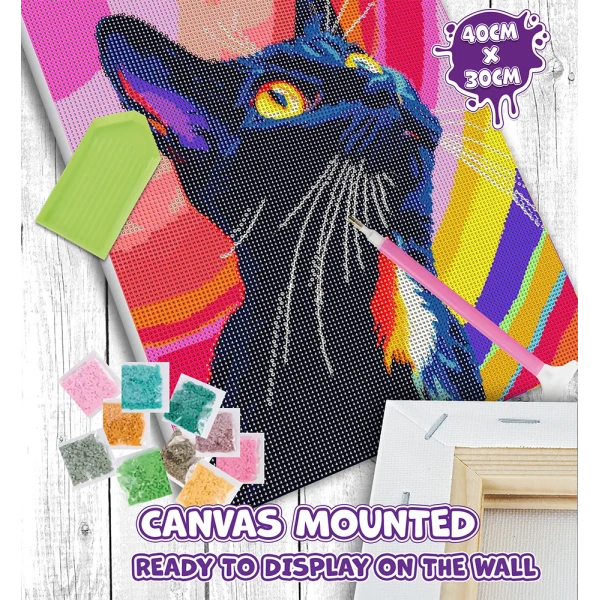 SPLAT PLANET ΣΕΤ DIAMOND PAINTING ΣΕ ΚΑΜΒΑ ΜΕ ΤΕΛΑΡΟ 30Χ40 εκ. BLACK CAT